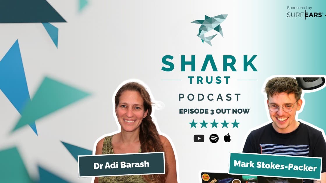 Living with Sharks: Shark Safety, Coexistence and Conservation with Dr Adi Barash | S2E3