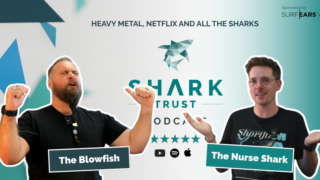 Living with Sharks: Heavy Metal, Netflix and All the Sharks with Tom ‘The Blowfish’ Hird | S2E5
